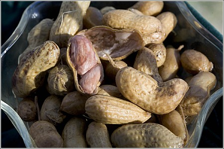 boiled-peanuts